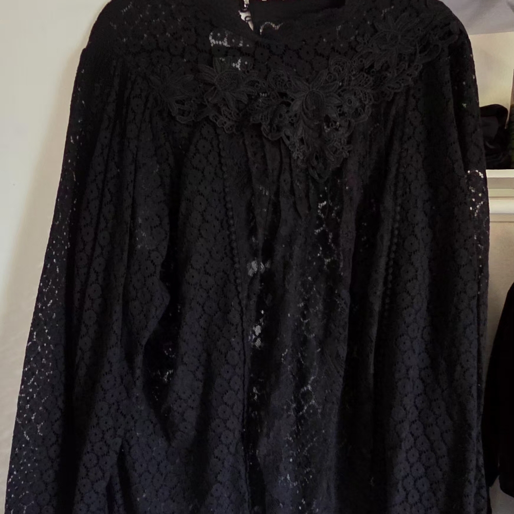 Torrid Black Lace Top W/mock Neck